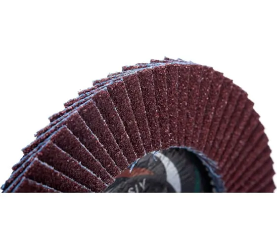 Фото Лепестковый круг Луга КЛТ1 125х22 А40 (14А 40/Р40) D91012522140400